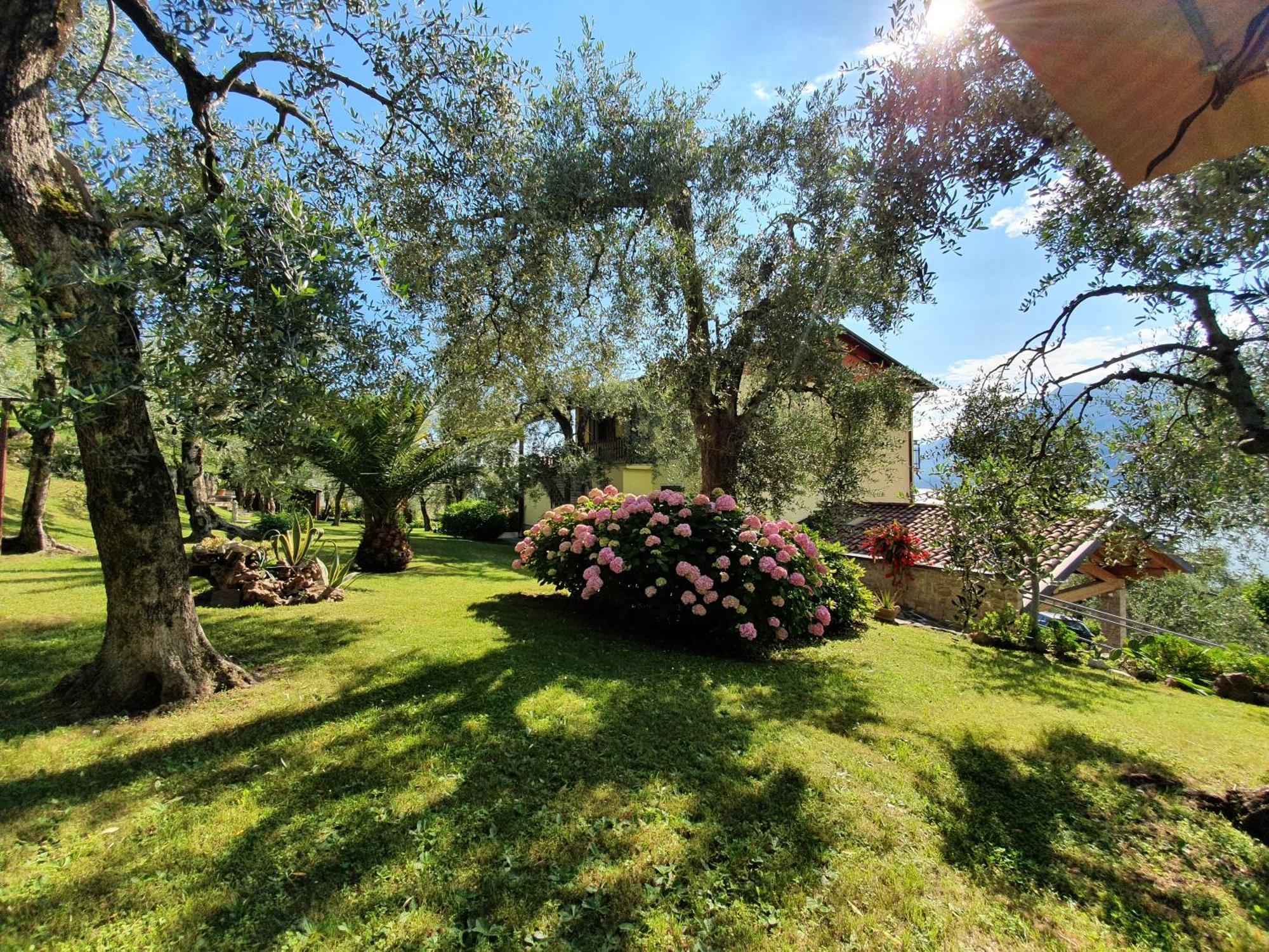 Casa Valenti Apartment Brenzone sul Garda Ngoại thất bức ảnh