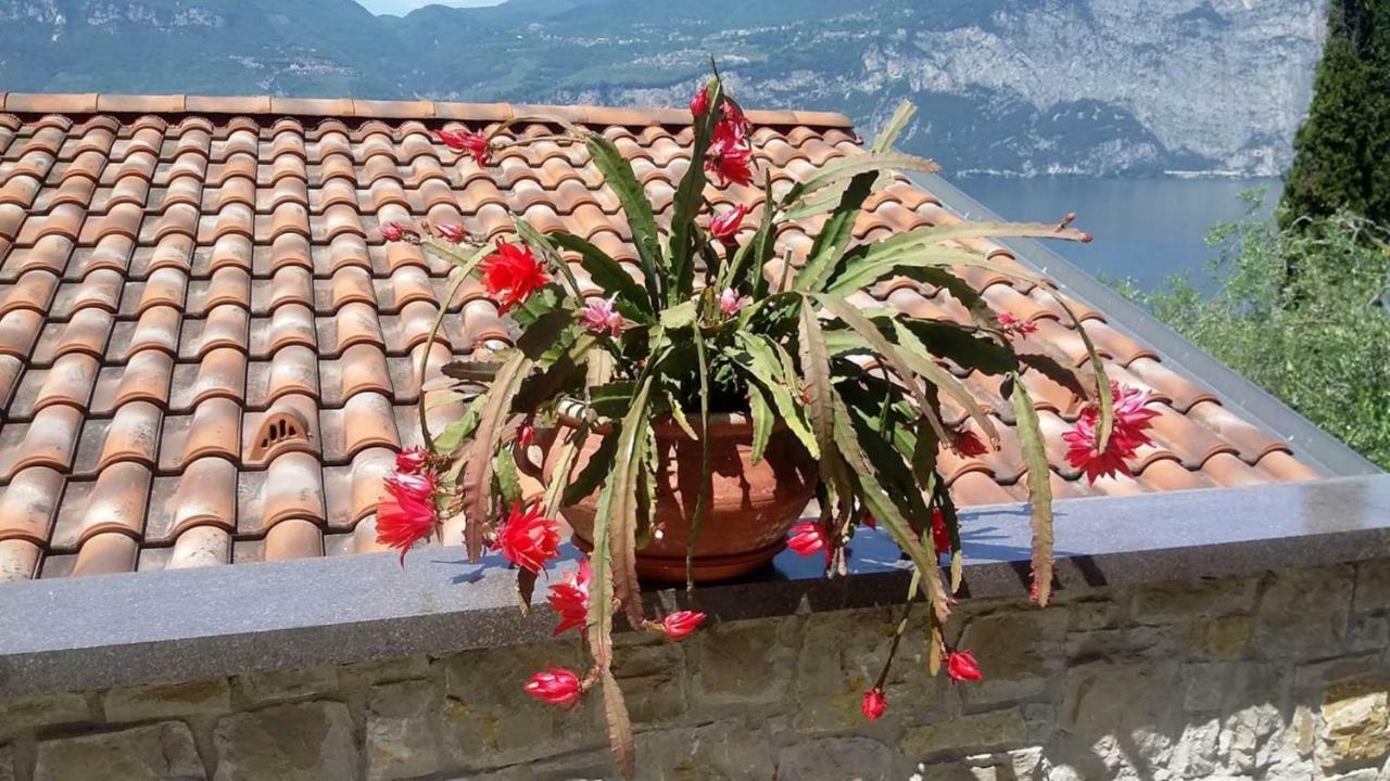 Casa Valenti Apartment Brenzone sul Garda Ngoại thất bức ảnh